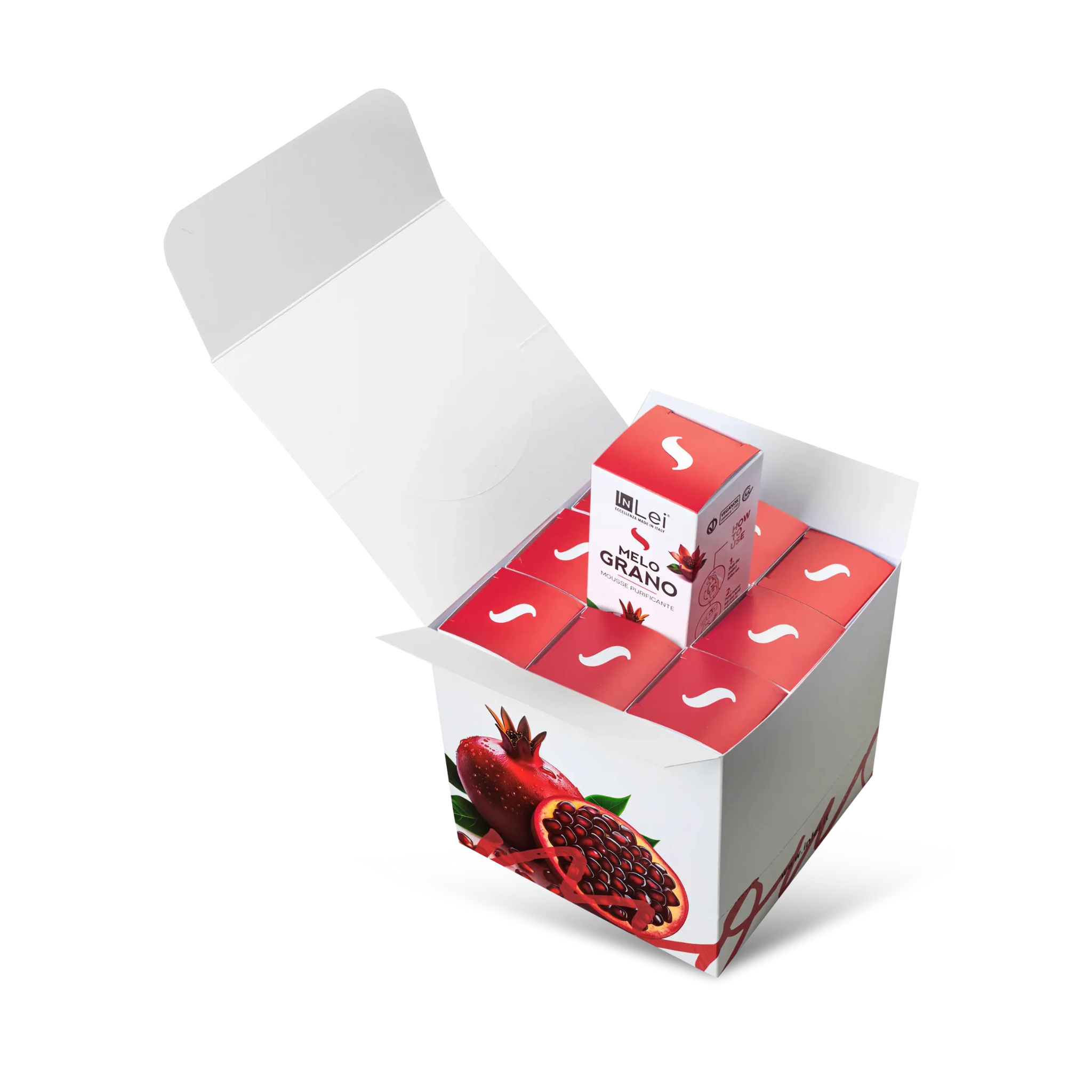 442_1ae76d4a-a47b-4924-9bdf-daf0b9c9f231.png