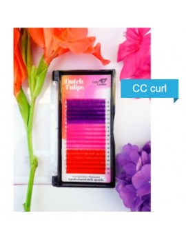 Color-DUTH TULIPS-CC-curl
