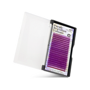 Cils de couleur W C-curl Color Explosion 18 bandes - PURPLE BRAZILIAN VOLUME